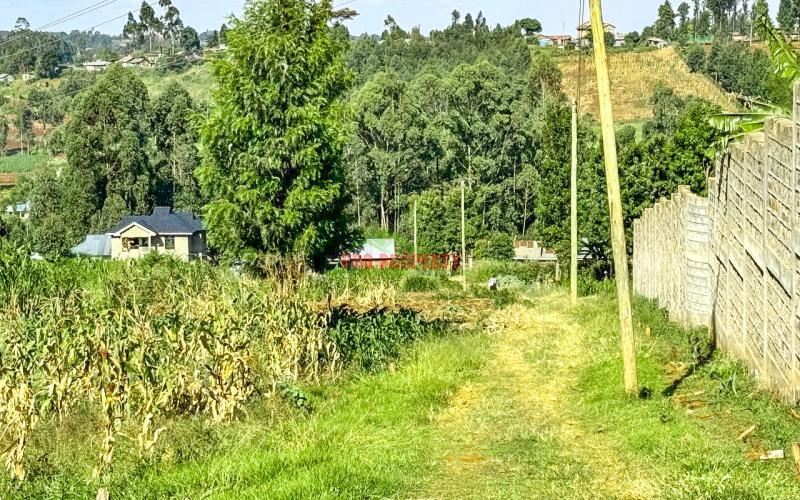 Prime Residential Plots For Sale In Kikuyu, Muguga