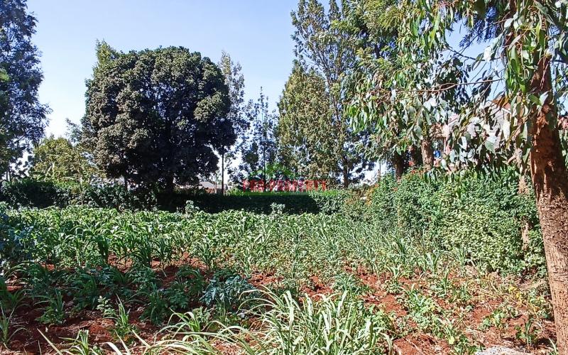 Commercial Plot For Sale In Kikuyu, Thogoto