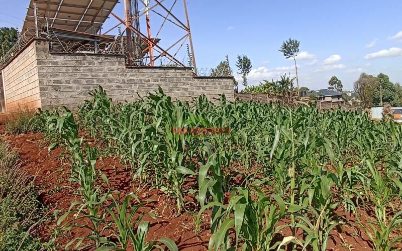 50 By 100ft Plot For Sale In Kikuyu, Thogoto (with Income)