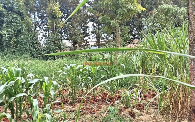 7.5 Acres Very Prime Commercial Land In Kikuyu Town, Next To Sigona Golf Club